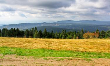 Hoteles en Krusne Hory Czech