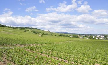 Hotell i Rheinhessen