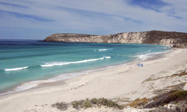 Hoteles en Isla Canguro