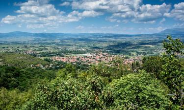 Hotels with Pools in Sokobanja Spa