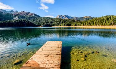 Pet-Friendly Hotels in Zabljak County