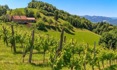 Styrian Wine Road otelleri