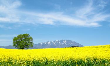 Hotely v regionu Iwate