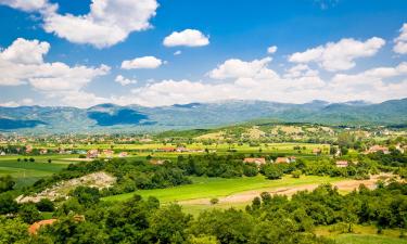 Country Houses in Niksic County