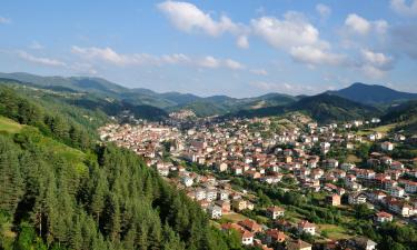 Hoteli v regiji Smolyan Province 