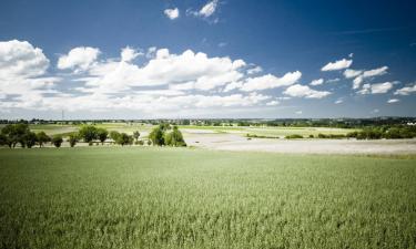 Hoteller i Vogelsberg-bjergene