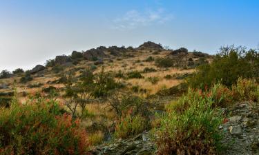 Cottages in Al Baha Province