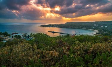 Villas in Trelawny