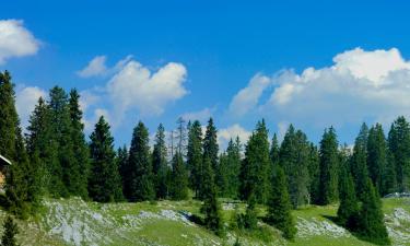 Hoteles en Jura