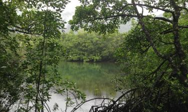 Lodges in Daintree Rainforest