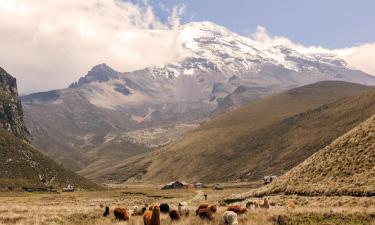 Cottages in Chimborazo Province