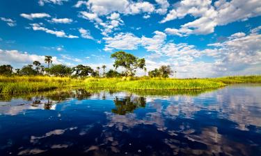 Hoteller i Okavango Delta