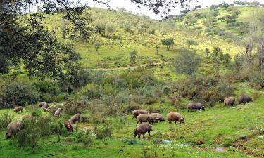 Sierra de Aracena y Picos de Aroche: kaimo turizmo sodybos