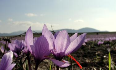 Hoteller i Kozani Prefecture