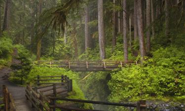 Olympic National Park: viešbučiai