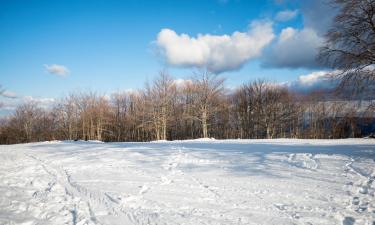 Hotels in der Region Vasilitsa Ski