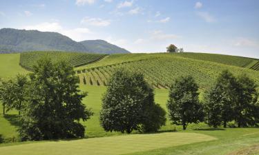 Hôtels dans cette région : Styrie