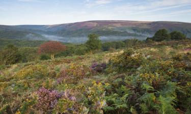 Quantock Hills panziói