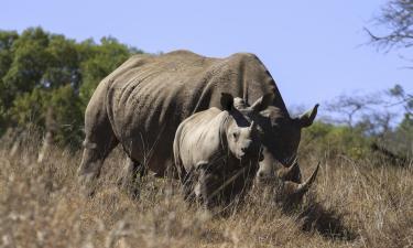 Lodges in der Region Hluhluwe-iMfolozi-Park