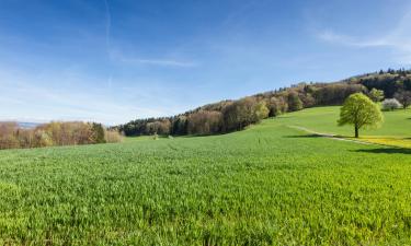 Hotelek Aargau kanton területén