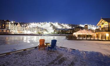 Hoteli sa spa centrom u regiji 'The Blue Mountains'