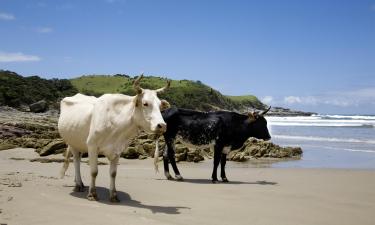 Hoteles en Wild Coast