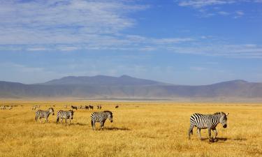 Hoteles en Ngorongoro