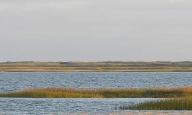 Hoteles en Cape Cod