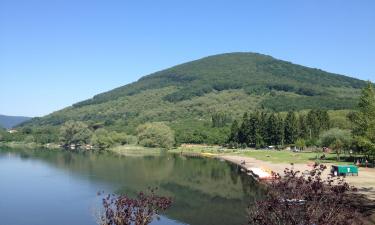 Hoteles que admiten mascotas en Lago de Vico