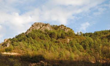 Готелі, де можна проживати з хатніми тваринами в регіоні Pallars Sobirà