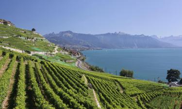 Апартаменты/квартиры в регионе Lavaux