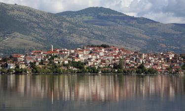 Kastoria Prefectureのホテル