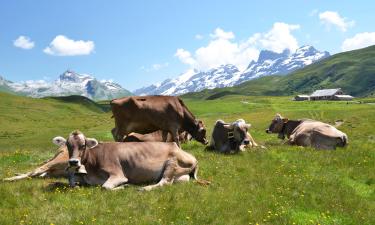 Hoteles en Melchsee Frutt