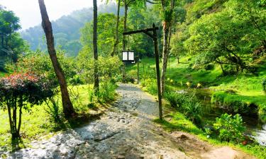 Hoteluri în Risaralda