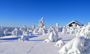 Villas in Saariselka Ski