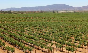 Hoteles en Valle de Guadalupe