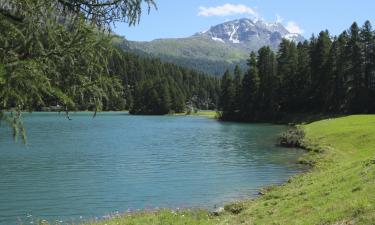 Ferienwohnungen in der Region St. Moritz - Engadin