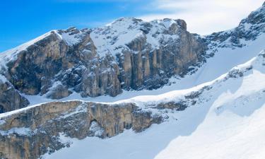 Cabins in Southern Alps Ski Resorts