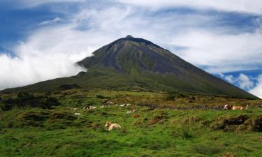 Hotels on Pico island