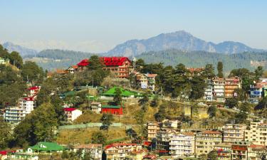 Hotels in Shimla and Surroundings