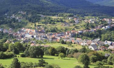 Hôtels dans cette région : Département de la Moselle