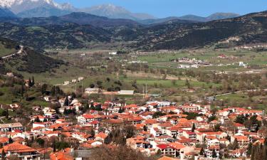 Hoteluri în Helmos