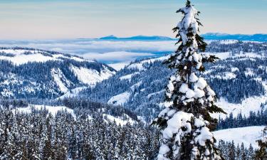 Отели типа «постель и завтрак» в регионе Mount Washington Alpine 