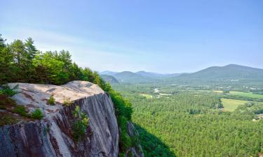 Hoteles que admiten mascotas en Cranmore Mountain Resort