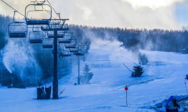 Hišnim ljubljenčkom prijazni hoteli v regiji Windham Mountain