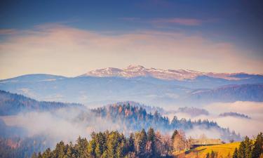 Hotels in der Region Ribnisko Pohorje - Kope