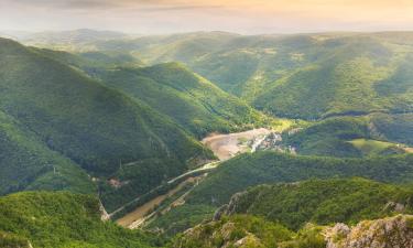 Ovčar Banja Spa: viešbučiai