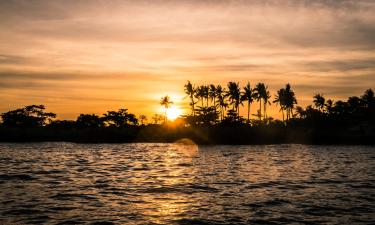 Hotels on Mactan Island