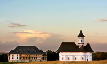 Hotels in der Region Botoşani