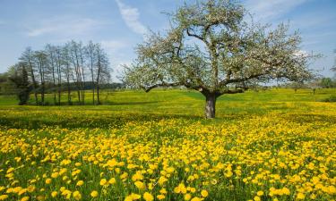 Ferienwohnungen in der Region Thurgau